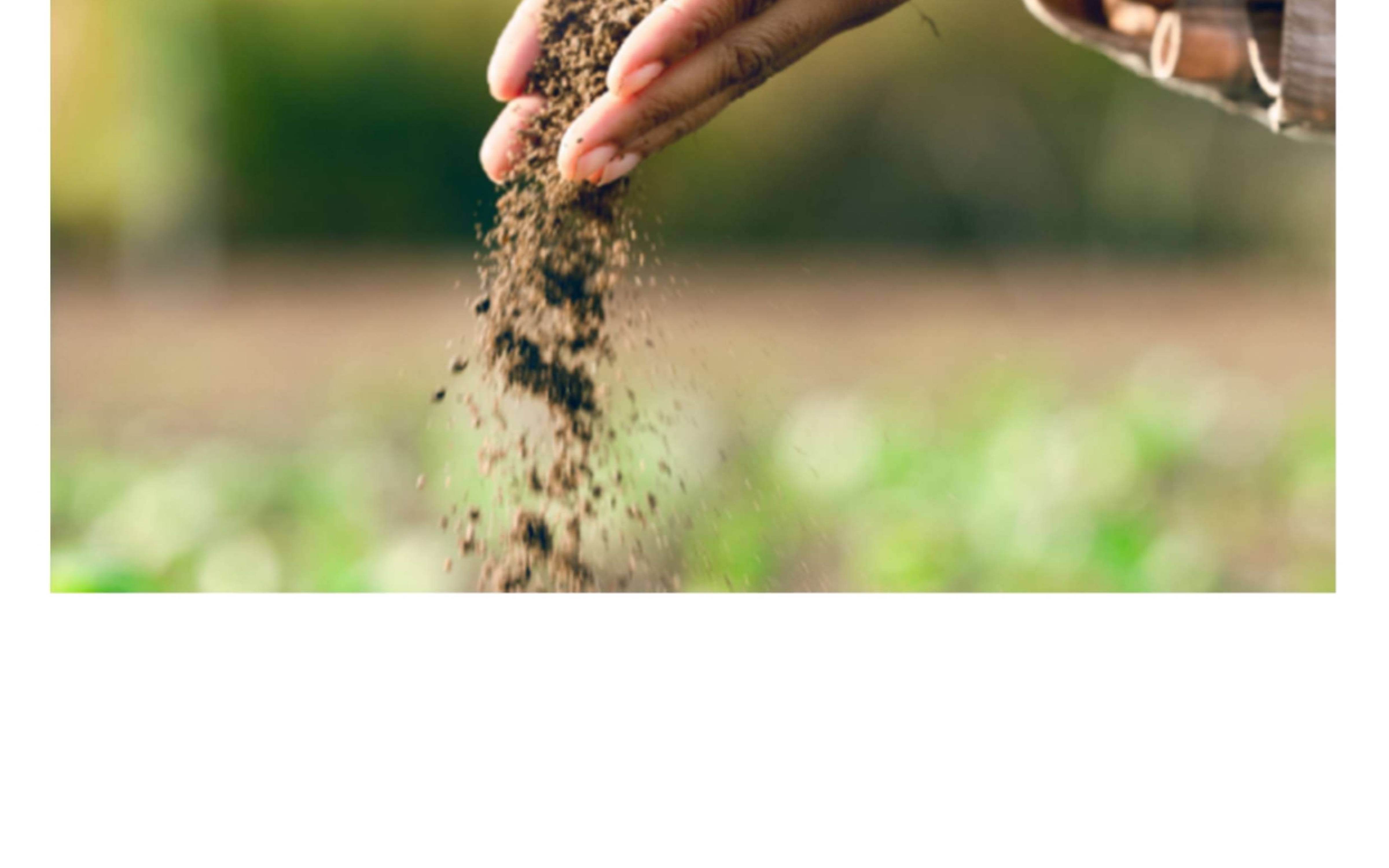 Inquérito à Estrutura das Explorações Agrícolas 2026 (IEEA 2026)